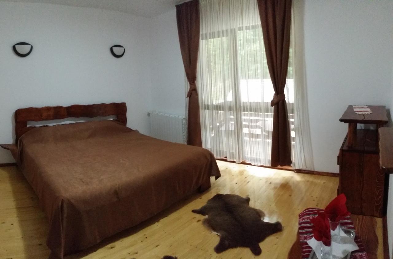 Cabana Barlogul Lupilor Villa Berevoesti ห้อง รูปภาพ