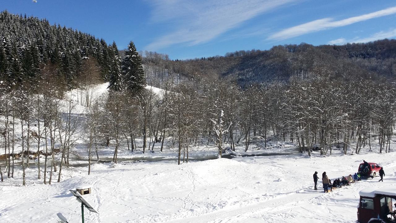 Cabana Barlogul Lupilor Villa Berevoesti ภายนอก รูปภาพ