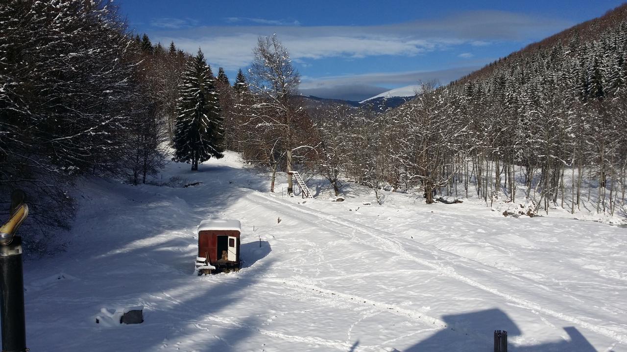 Cabana Barlogul Lupilor Villa Berevoesti ภายนอก รูปภาพ